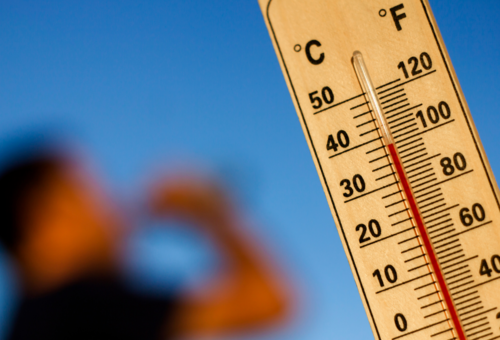 Canicule : les enfants aussi sont en première  ligne face aux fortes chaleurs