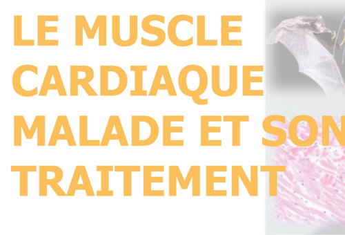 Conférence publique - 12 février 2026