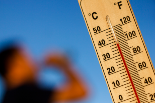 Canicule