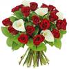 Fleurs visites