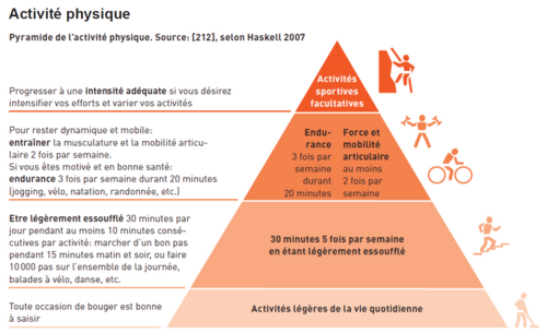 Pyramide activité physique