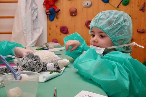 Hôpital des Nounours 2024