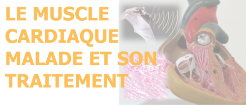 Conférence publique 12 février 2026