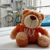 Teddy's